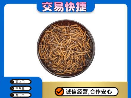 南平高价回收散虫草